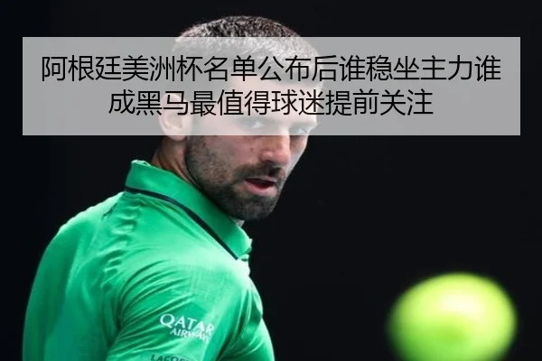 阿根廷美洲杯名单公布后谁稳坐主力谁成黑马最值得球迷提前关注